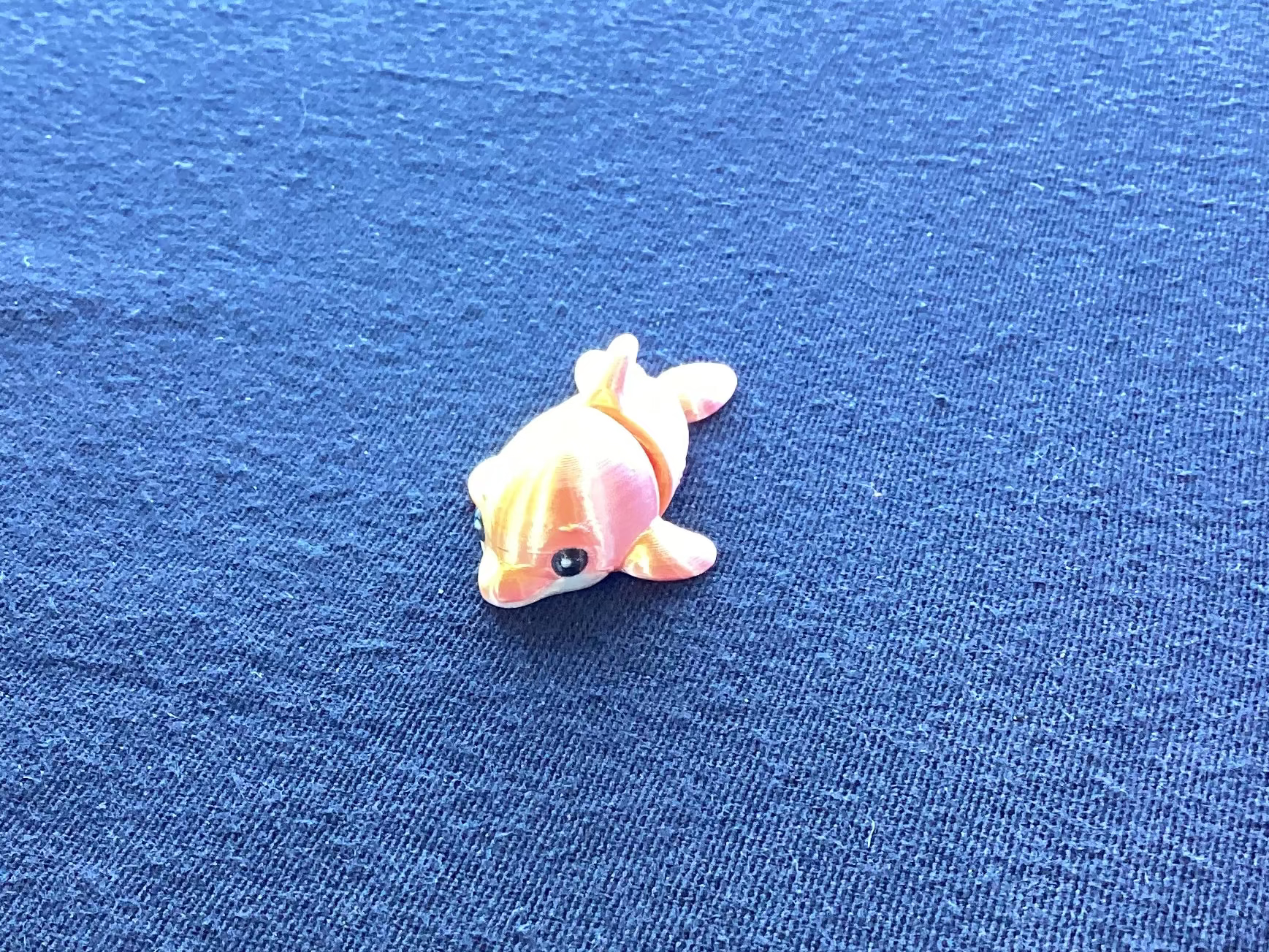 Dolphin