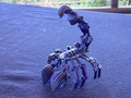 Scorpion
