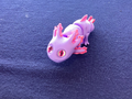 Axolotl