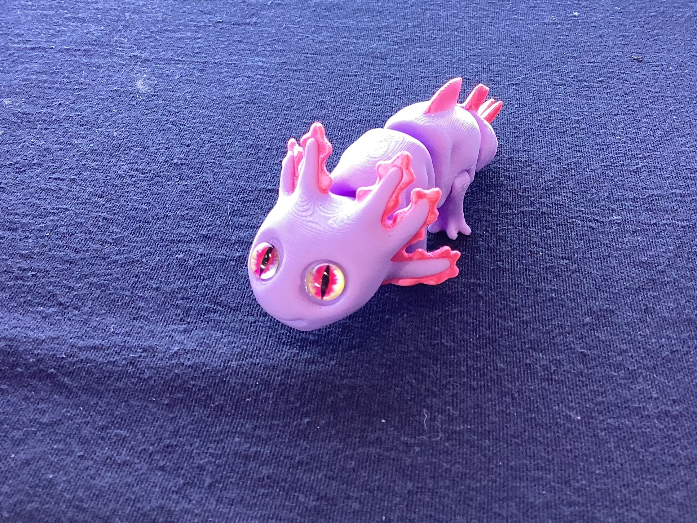 Axolotl
