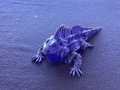 Iguana