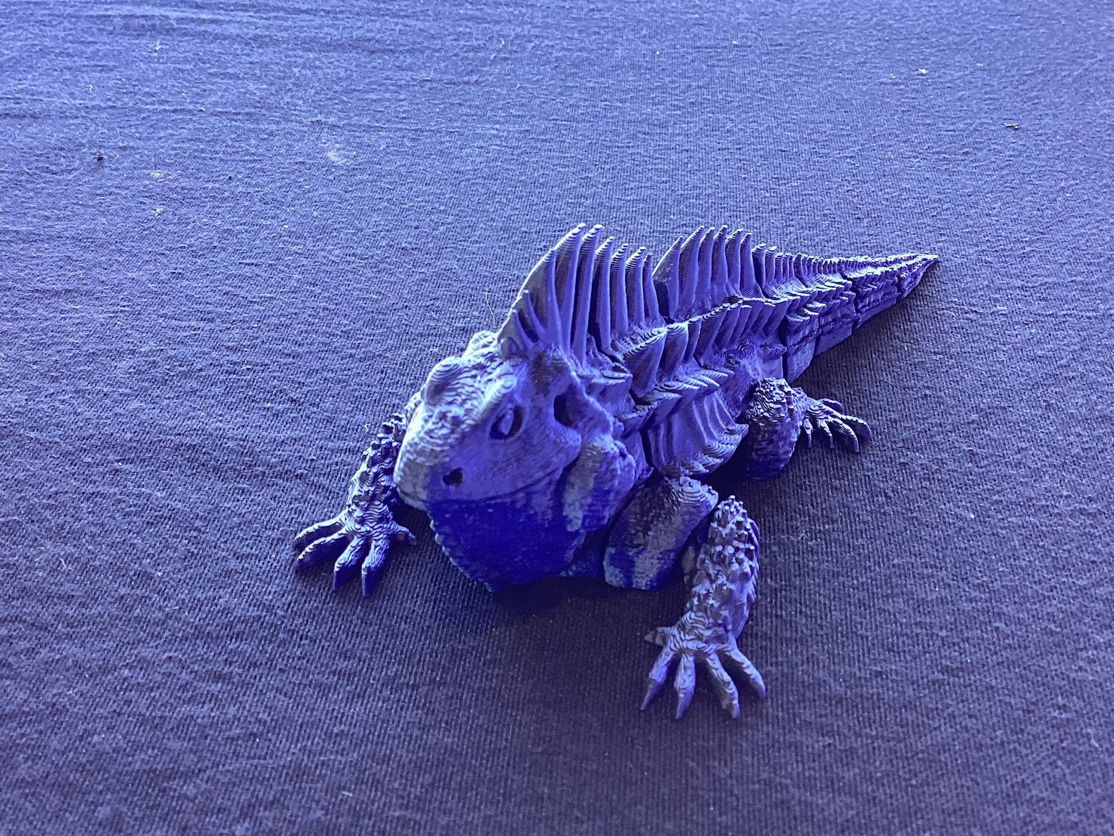 Iguana