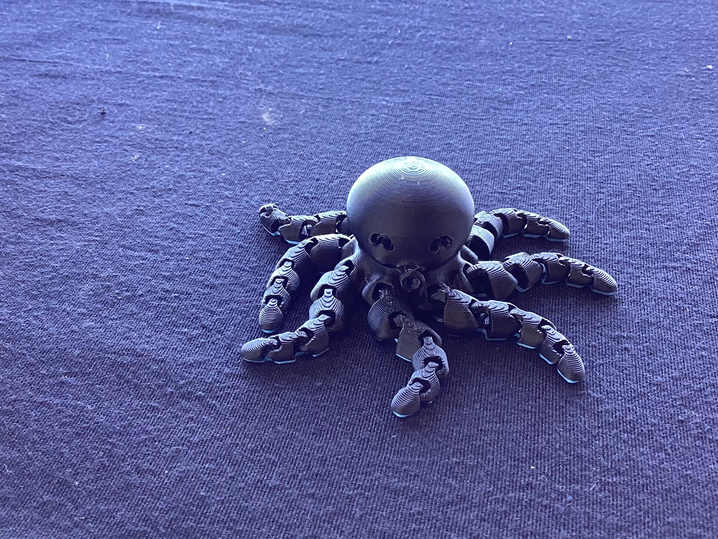 Octopus