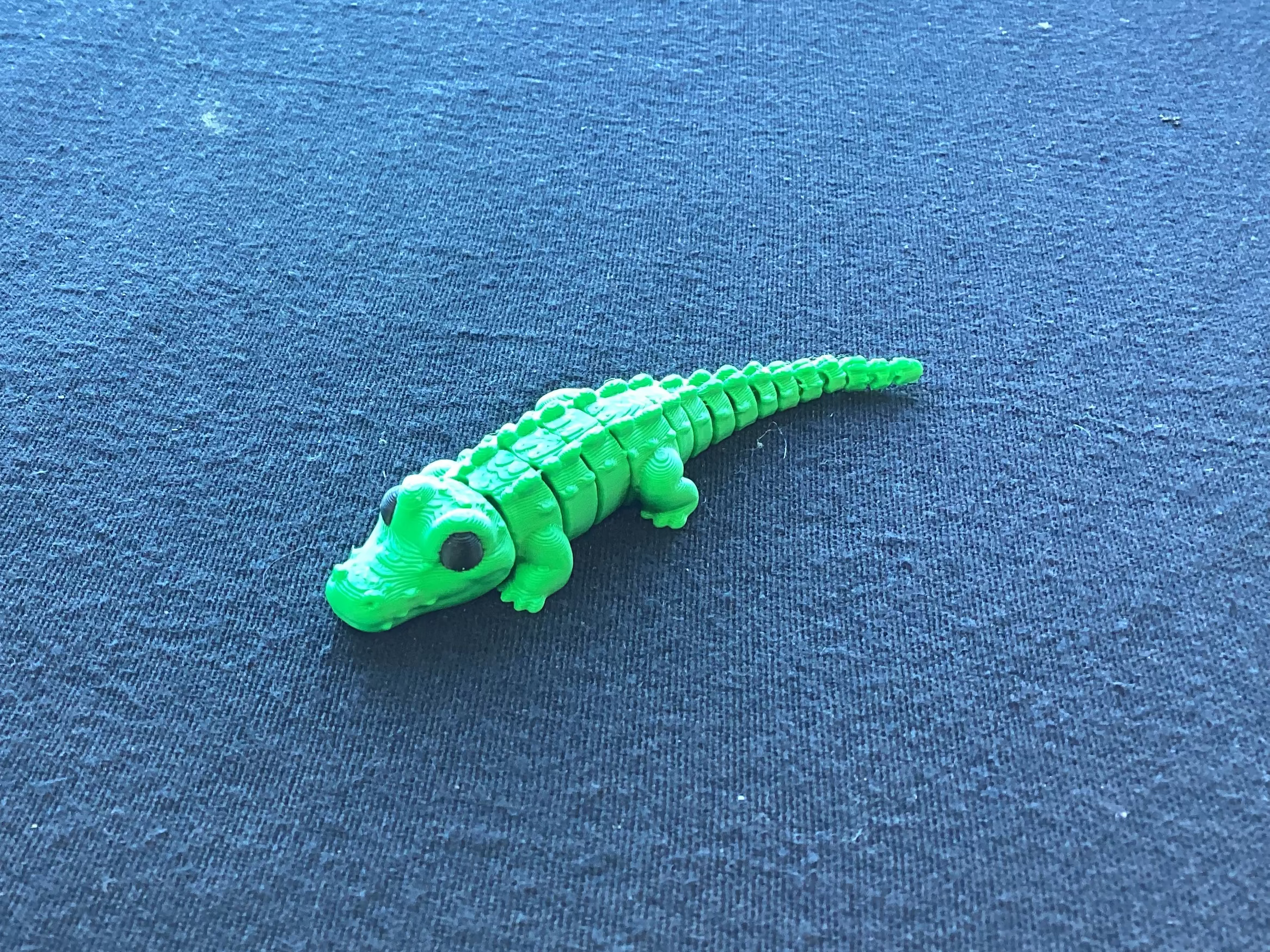 Small gator