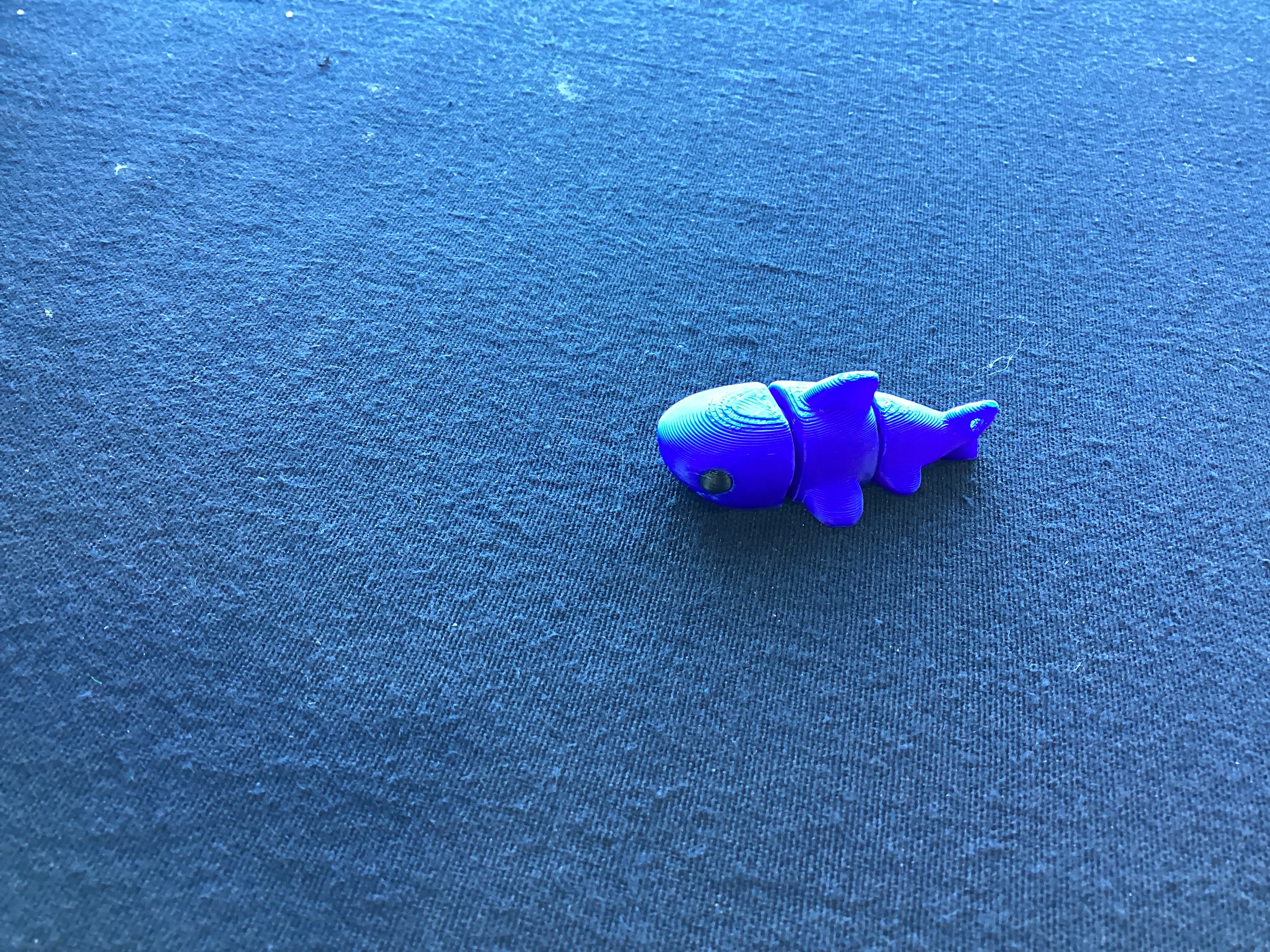 Mini shark