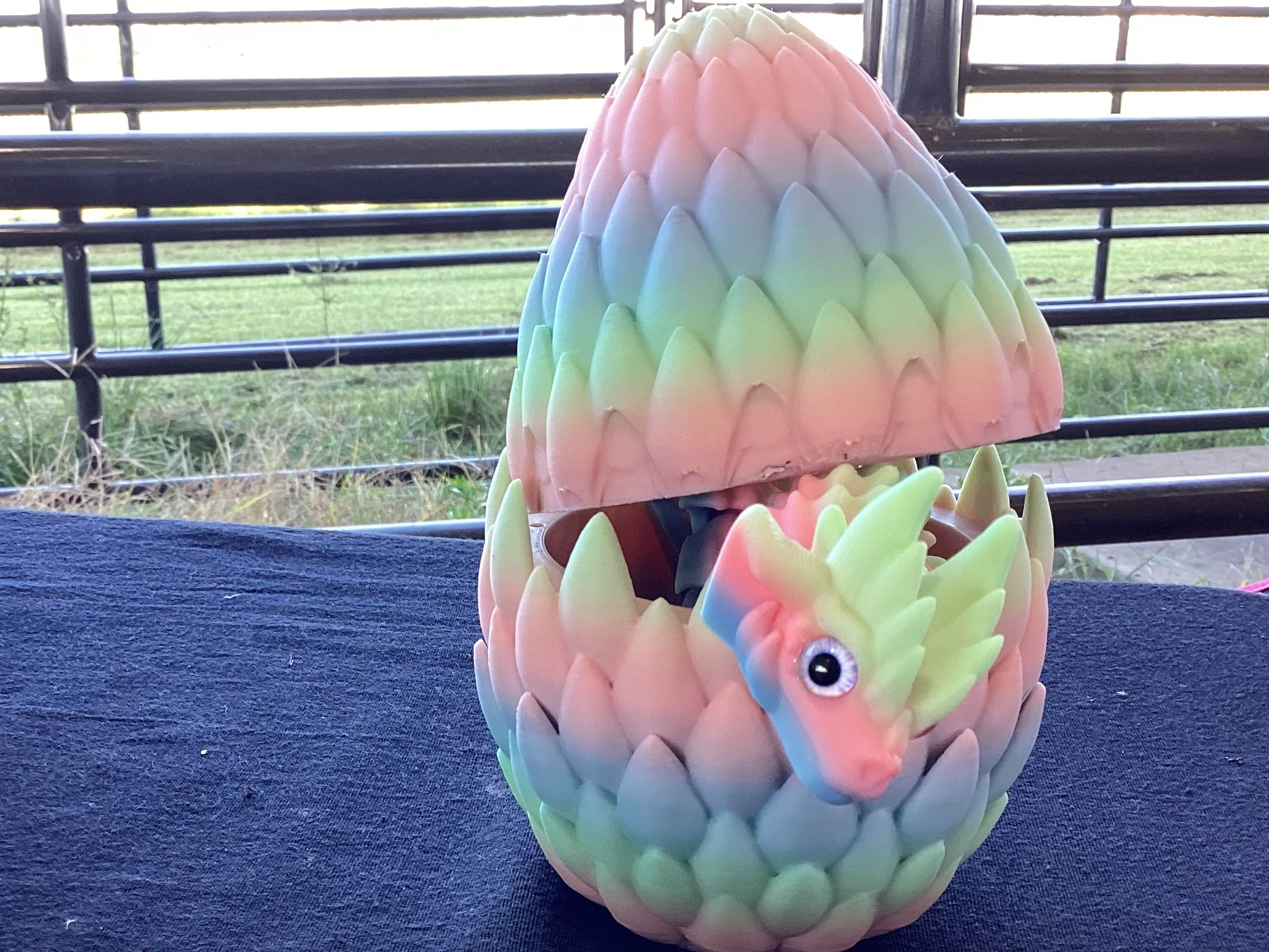 Axolotl and egg