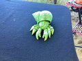 Hermit crab