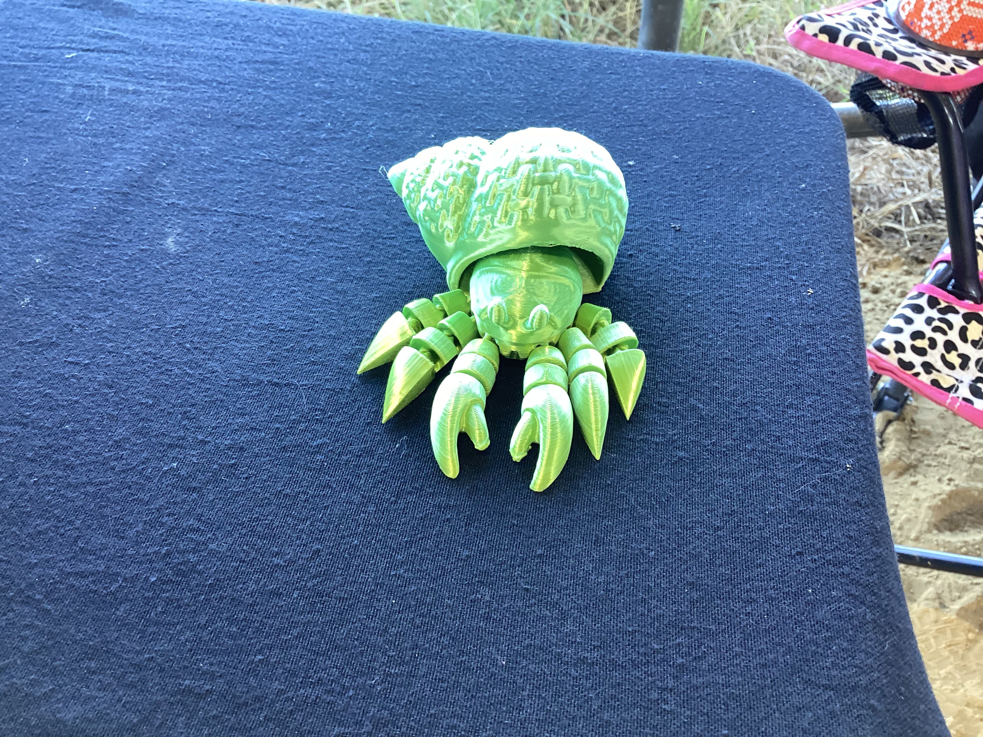Hermit crab