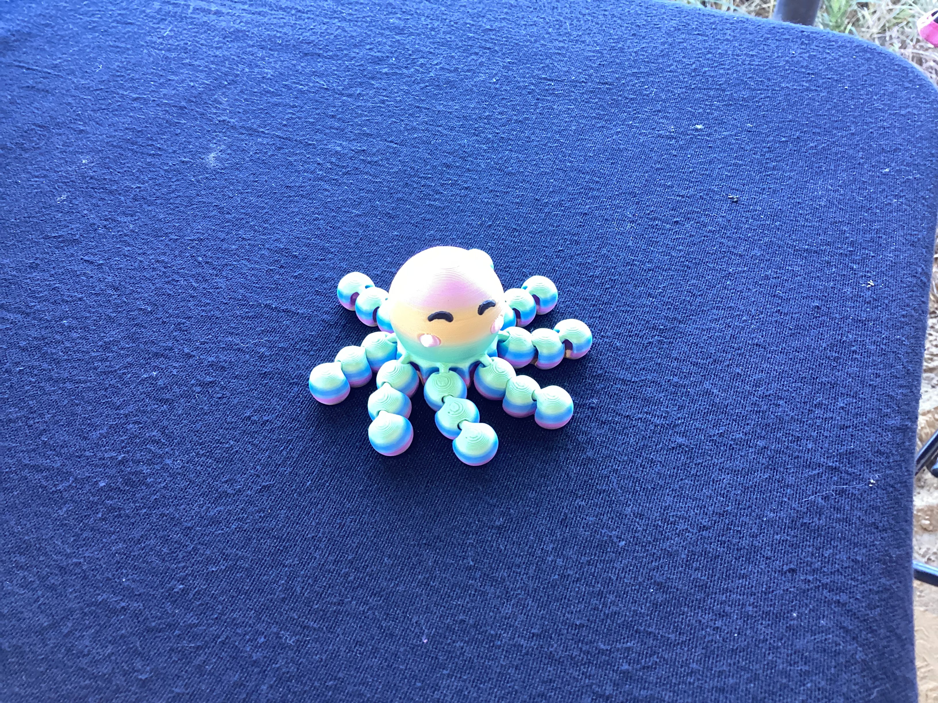 Octopus