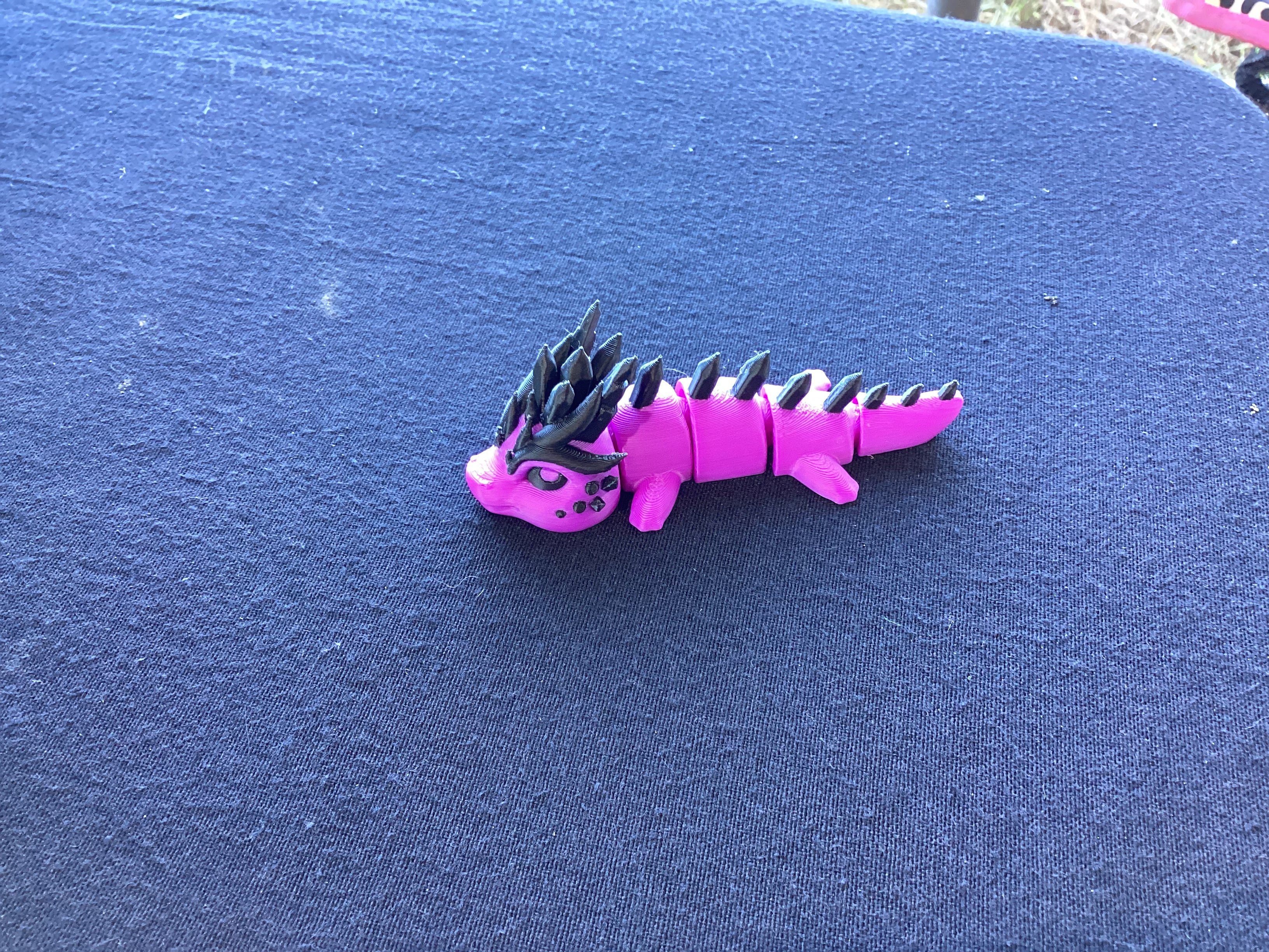 Small dragon
