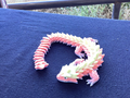 Axolotl