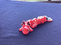 Ladybug dragon