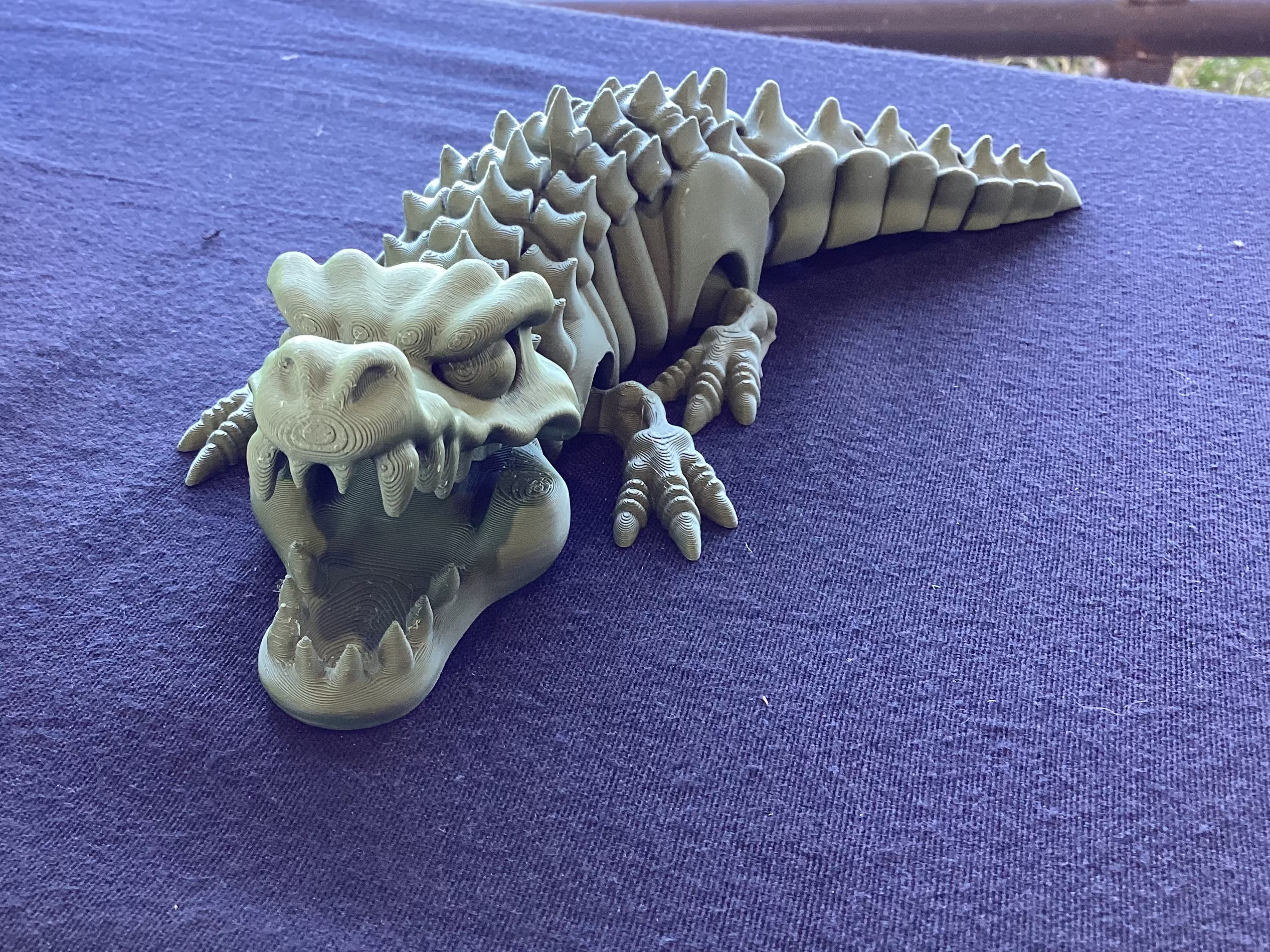 Alligator
