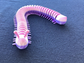 Centipedes