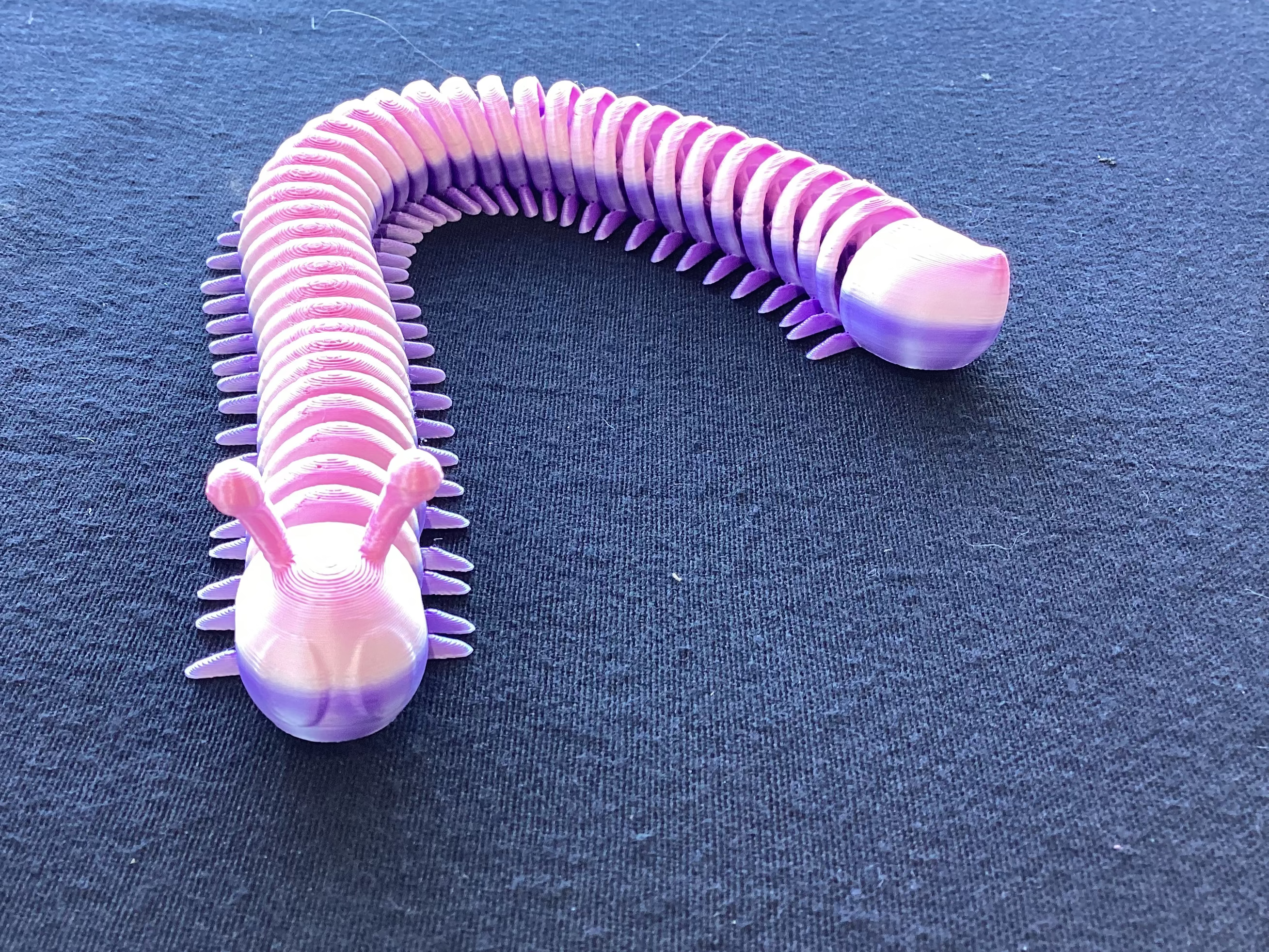 Centipedes