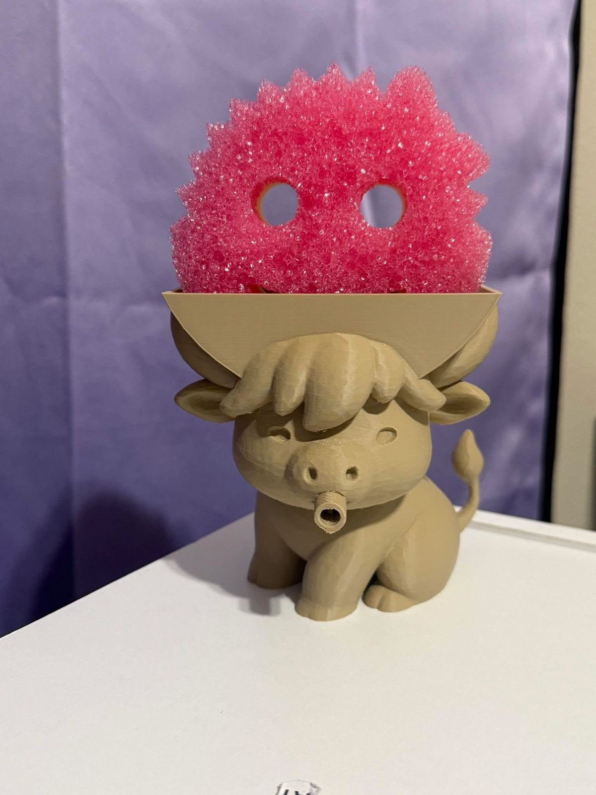 Sponge holder