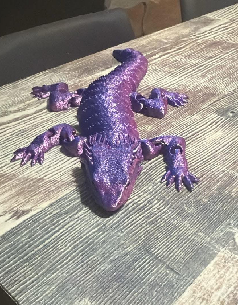 Bearded dragon