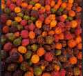 Chamoy and tajin skittles